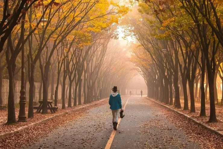 Noyabrda 25 dərəcə isti olacaq - ayın hava PROQNOZU